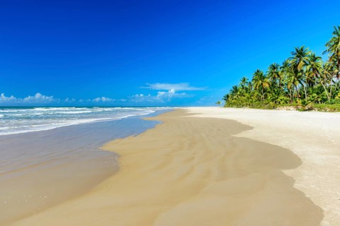 Tropical beach with coconut trees next to the sea and sand in Serra Grande on the coast of Bahia
