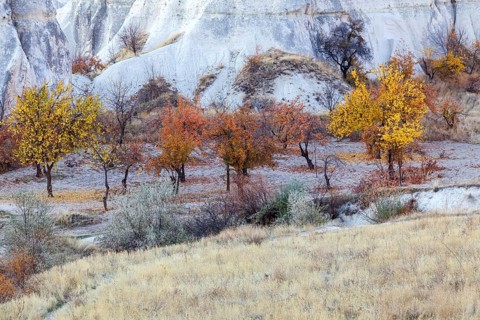 Landscape with tufa formations