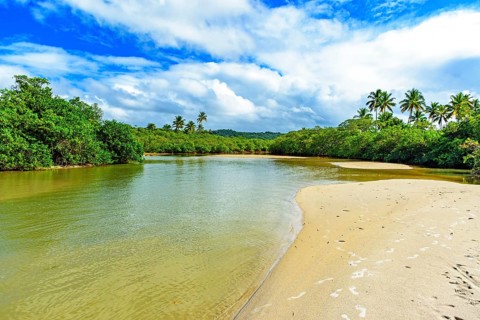 River with greenish waters flowing through the mangrove vegetation and rainforest in Serra Grande in the state of Bahia