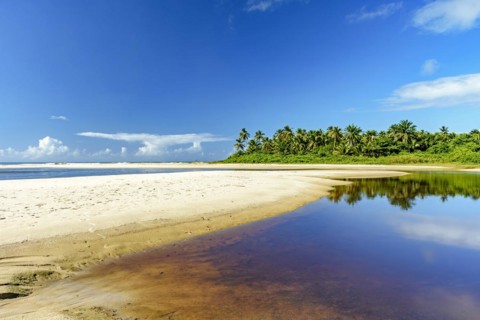 Where the river meets the sea with coconut trees in the background at Sargi beach in Serra Grande on the coast of Bahia