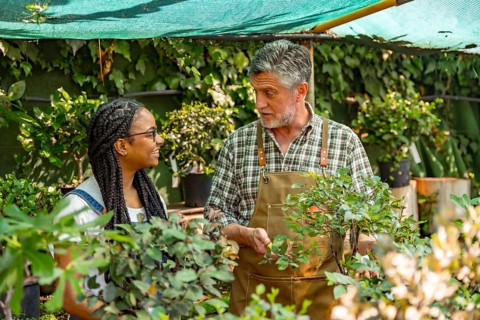 Master gardener teaching student girl flower nursery in greenhouse