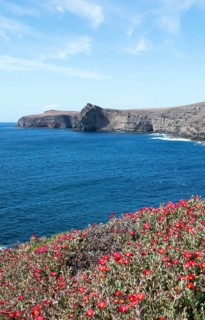Cliffs in Agaete