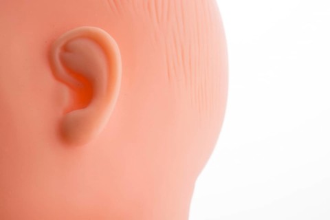 Baby doll's head on a white background