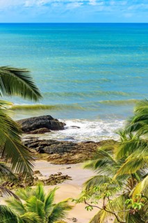 Tropical beach with vividly colored waters seen through the leaves of coconut trees in Serra Grande on the coast of Bahia