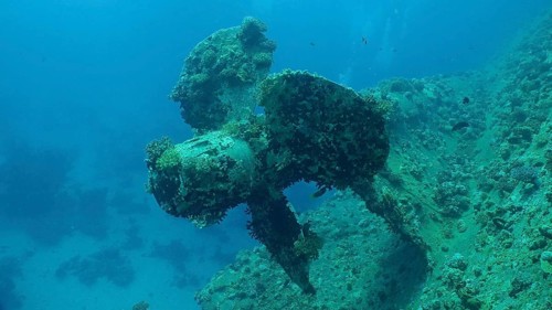 Propeller of ferry Salem Express shipwreck