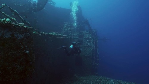 Scuba diver swim along hull of ferry Salem Express shipwreck