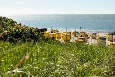 Yellow beach chairs and mudflats