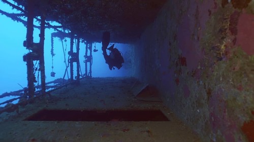 Scuba diver swim down corridor of ferry Salem Express shipwreck