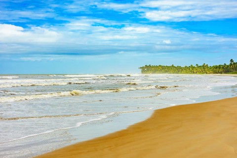 Sargi beach with coconut trees next to the sea and sand in Serra Grande on the coast of Bahia