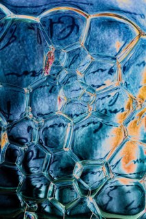Oil bubbles inside water base form patterns