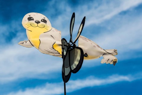 Sea seal as wind chime