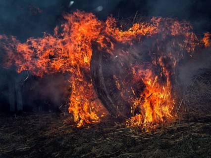 Fire wheel