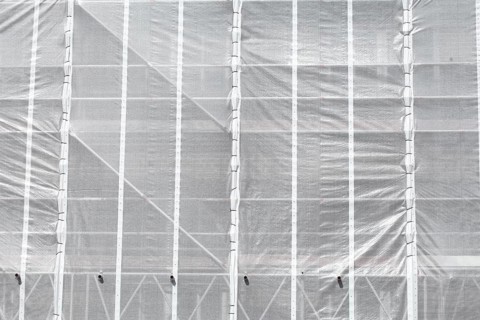 White tarpaulin