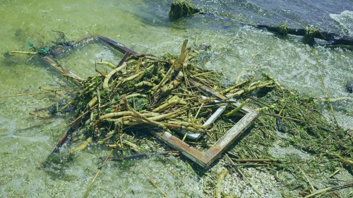 Window frame of house and other drifting debris has reached Black Sea beaches in Odessa