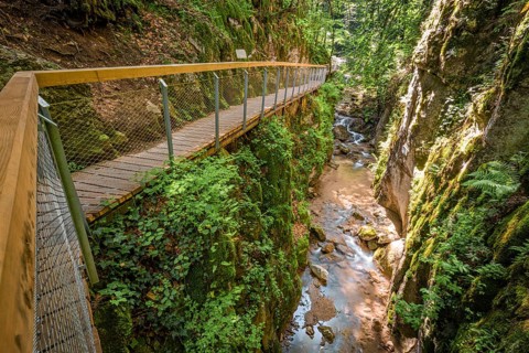 Stream
