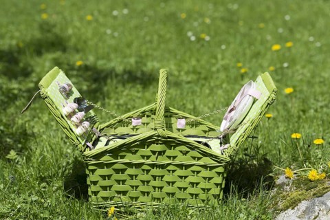 Picnic Basket on the Green Field with Grass and Flowers
