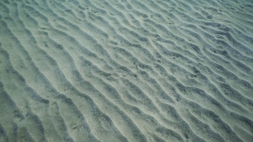 Sandy bottom covered with sand hills