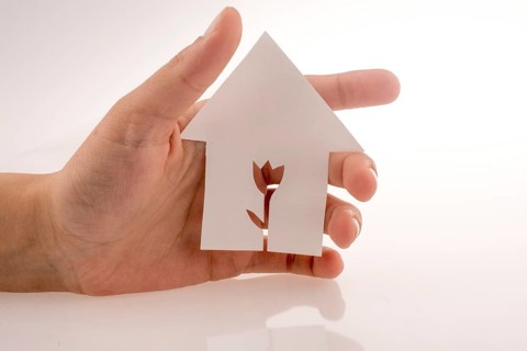 Hand holding a paper house with a flower shape carved in it on a white background