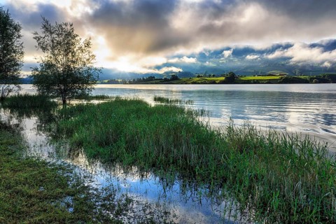 Morning atmosphere on the lakeshore