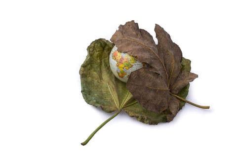 Little model globe placed between two large Autumn leaves