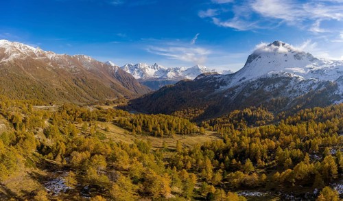 Aerial view over Val Poschiavo with its larch forests in autumn dress