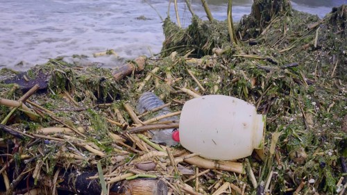 Plastic and other drifting debris has reached Black Sea beaches in Odessa
