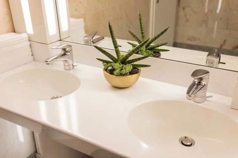 Bathroom with a Plant