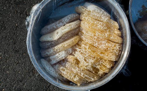 Sweet fresh honey in the sealed comb frame