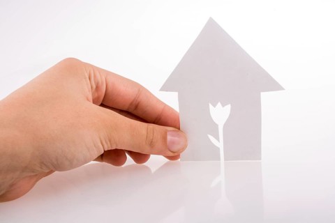 Hand holding a paper house with a flower shape carved in it on a white background