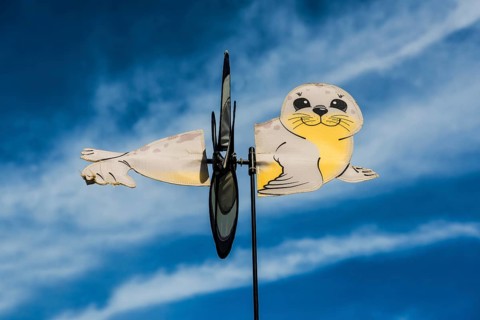 Sea seal as wind chime