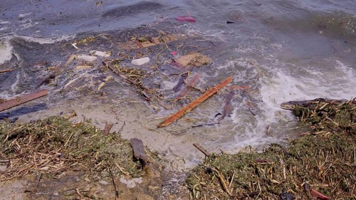 Close-up of floating debris has reached Black Sea beaches in Odessa