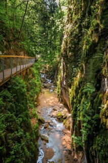 Stream