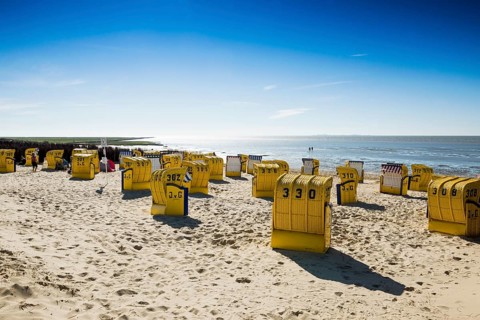 Yellow beach chairs and mudflats