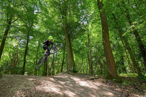 Mountain biker