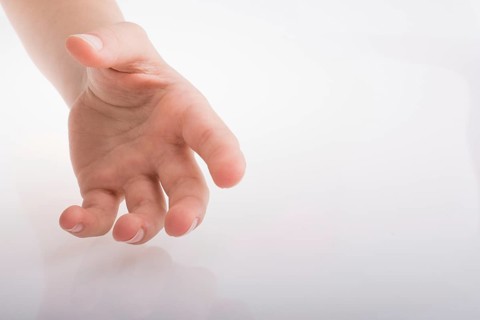 Hand holding on a white background