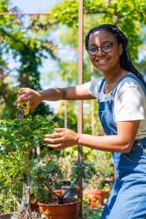 Portrait of black ethnic woman with braids gardener working in the nursery inside the greenhouse cutting the bonsai trees