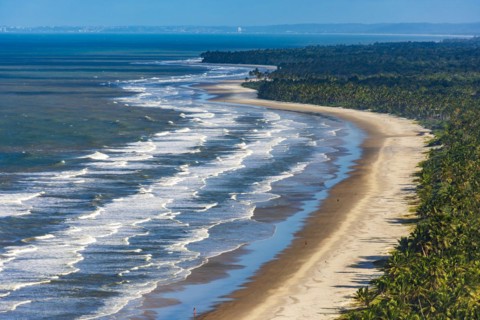 Top view of the beaches of Sargi and Pe de Serra with their coconut trees in Serra Grande on the south coast of the state of Bahia