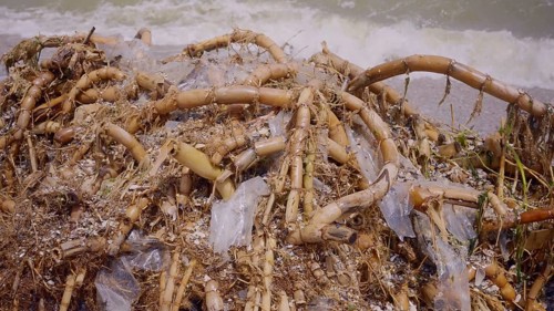 Close up of plastic mixed with reed roots lies on sand
