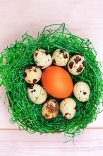 Various eggs in a green Easter nest