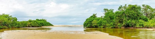 Sargi beach in the distance seen from inside the river that passes between the forest and the mangroves in Serra Grande