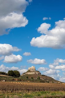 Vineyards around the Real Castillo de Curiel in the Ribera del Duero denomination of origin area in the province of Valladolid in Spain