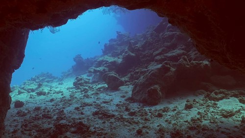 Coral caves on sunny day in bright sunlight