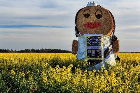 Straw puppet in a rape field
