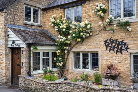 Typical yellow Cotswolds stone house with rosebush on the facade