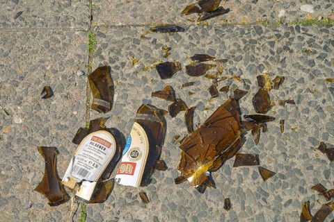 Shards of beer bottle