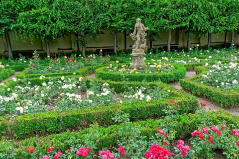 Rose Garden