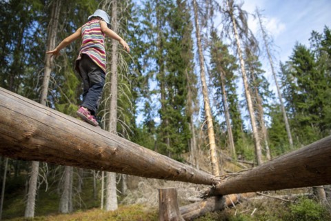 Child balancing on tree trunk
