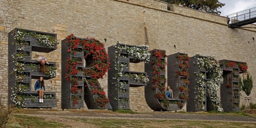 Step train Erfurt planted with flowers in front of the Petersberg Citadel