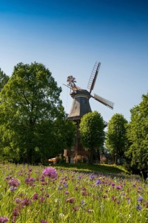 Windmill with colourful flowerbeds