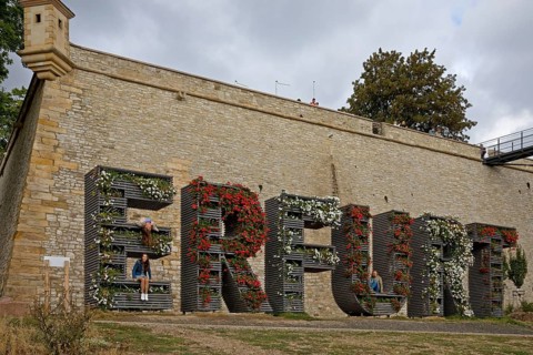 Step train Erfurt planted with flowers in front of the Petersberg Citadel